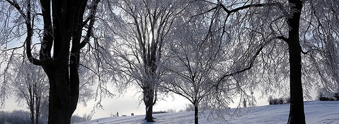 paysage de quebec en hiver