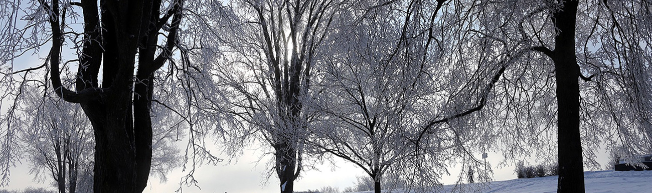 paysages quebec hiver